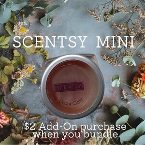 $2 Add-On 🆕Scentsy Mini Cedar Cider Home Fragrance